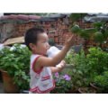 菱水苑七彩鳥幼兒園