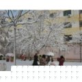 德州市光明街小學(xué)