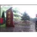 溫州市甌海區(qū)嘯秋小學
