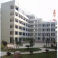 溫州市平陽(yáng)縣水頭鎮(zhèn)第一小學(xué)（水頭一?。?>
          <div   id=