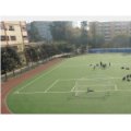 四川大學(xué)附屬實(shí)驗(yàn)小學(xué)（川大附?。?>
						<div   id=