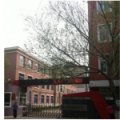 沈陽市四經(jīng)街第一小學（四經(jīng)街一?。?>
          <div   id=