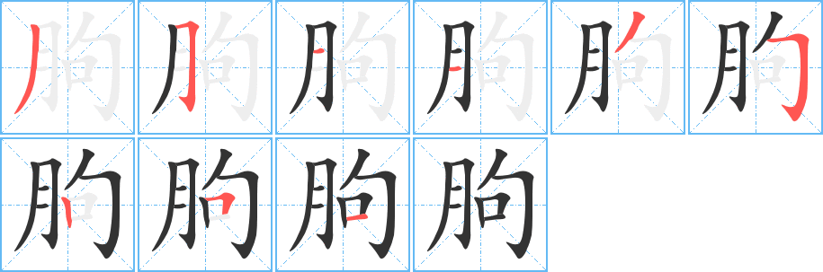 朐字筆畫寫法