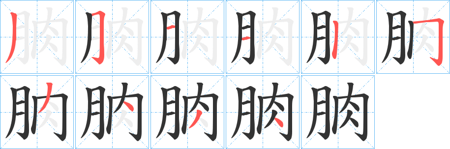 朒字筆畫寫法