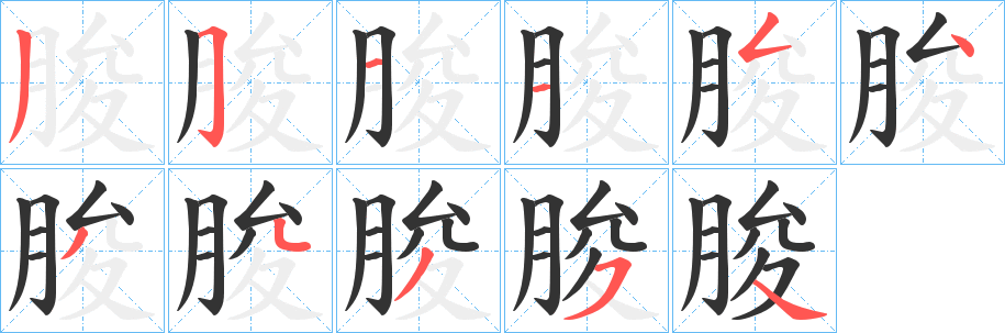 朘字筆畫(huà)寫(xiě)法