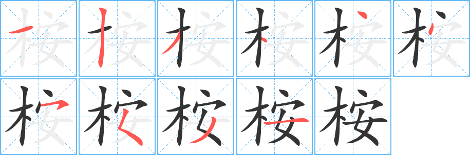 桉字筆畫(huà)寫(xiě)法