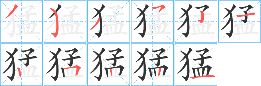 猛字筆畫(huà)寫(xiě)法