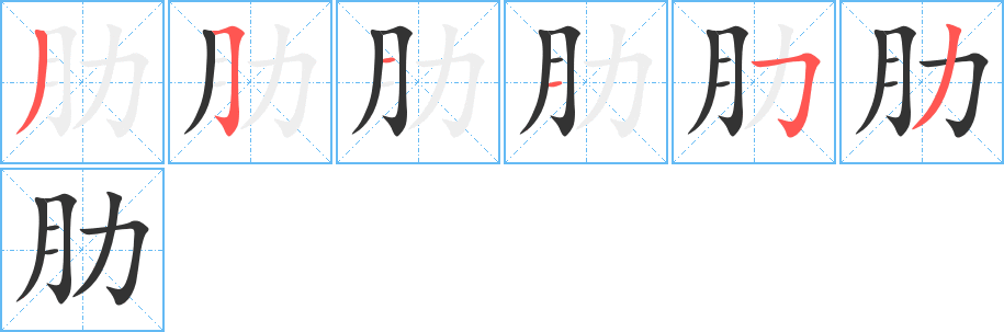 肋字筆畫寫法