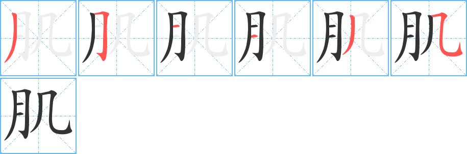 肌字筆畫寫法