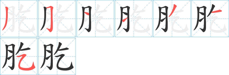肐字筆畫寫法