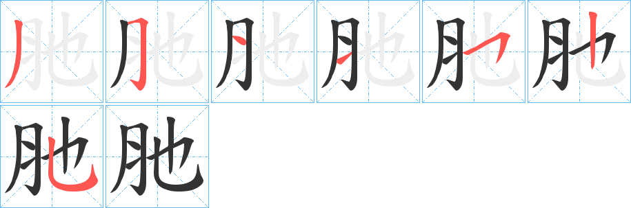 肔字筆畫寫法