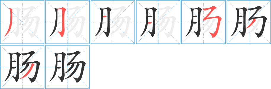 腸字筆畫寫法