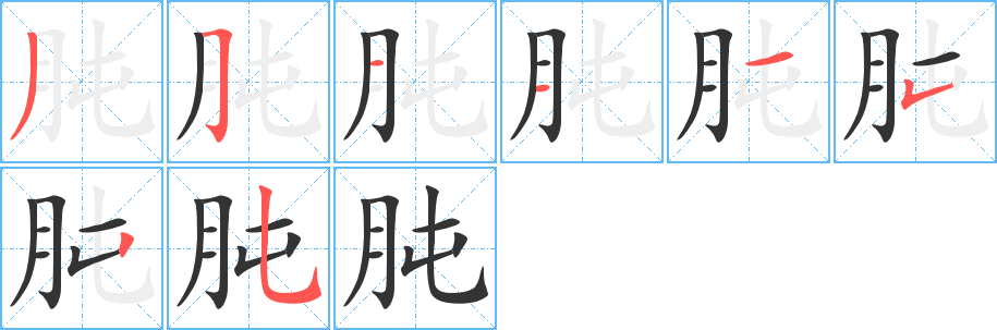 肫字筆畫寫法