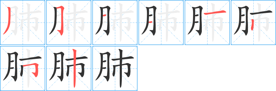 肺字筆畫(huà)寫(xiě)法