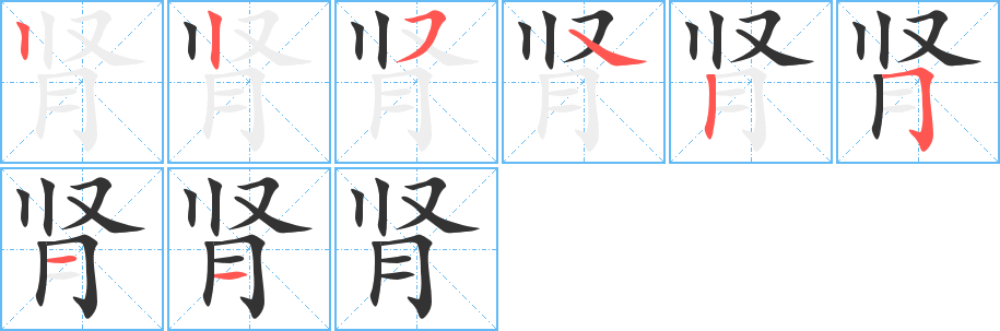 腎字筆畫寫法