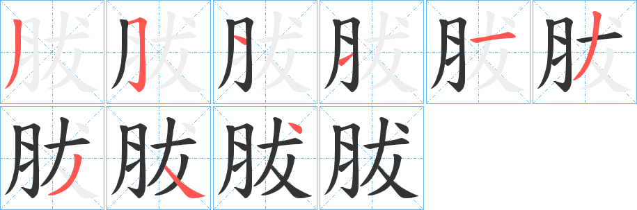 胈字筆畫(huà)寫(xiě)法