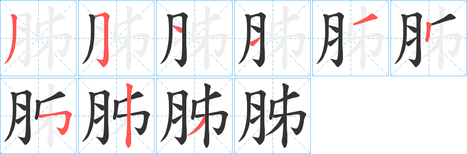 胏字筆畫寫法