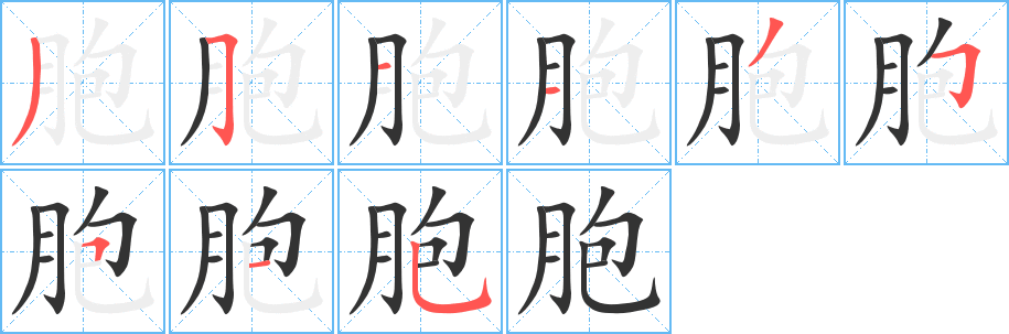 胞字筆畫寫法