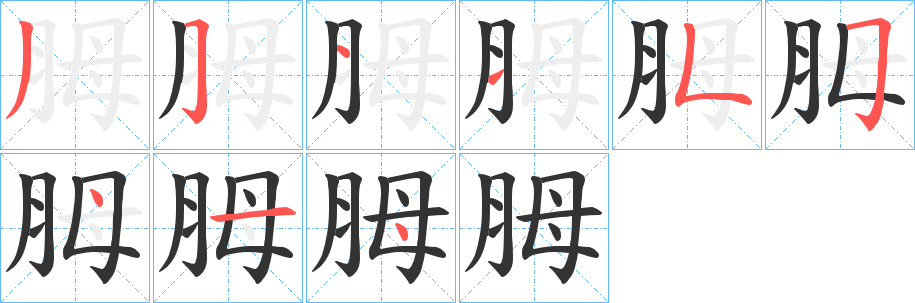 胟字筆畫(huà)寫(xiě)法