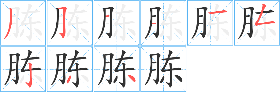 胨字筆畫寫法