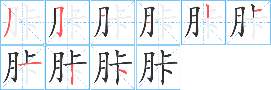 胩字筆畫寫法