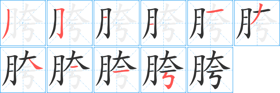 胯字筆畫寫法