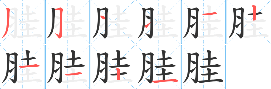 胿字筆畫寫法