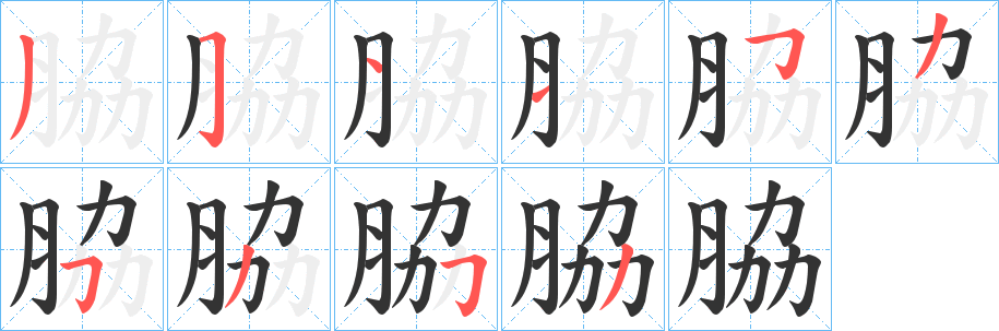 脇字筆畫寫法
