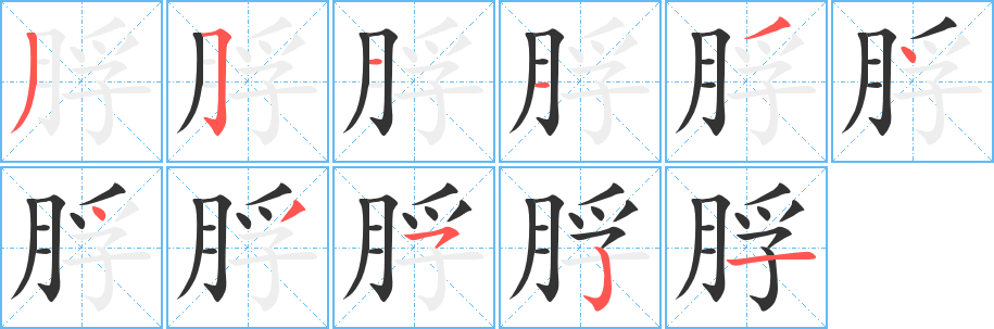 脬字筆畫寫法