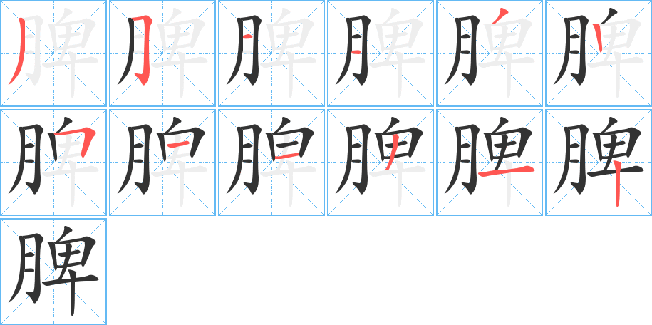 脾字筆畫寫法