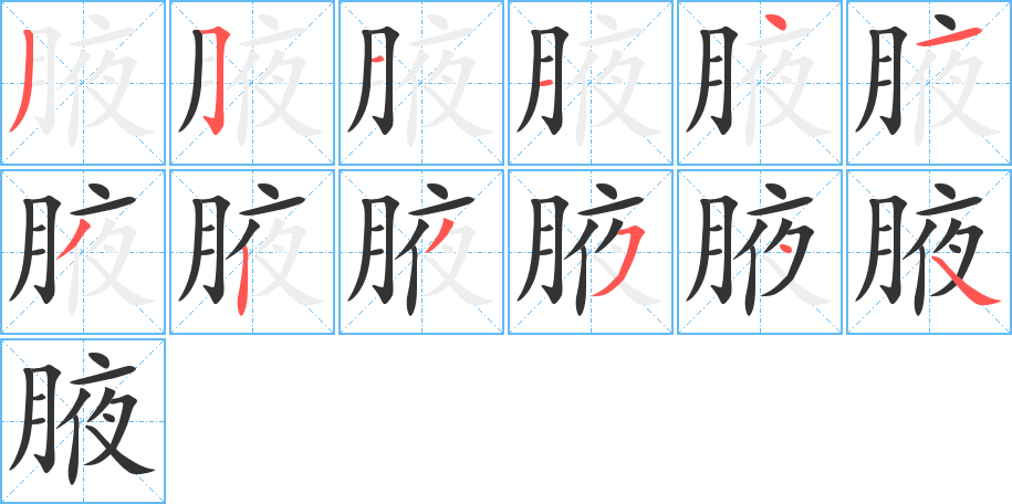 腋字筆畫寫法