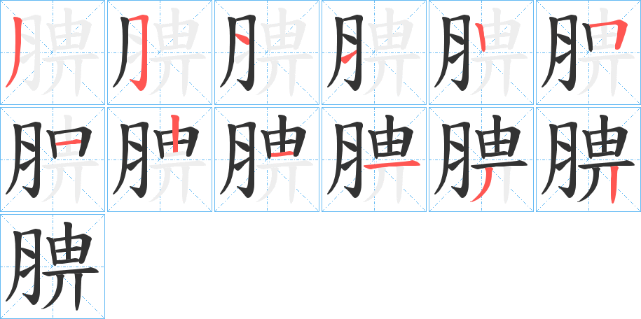 腗字筆畫寫法