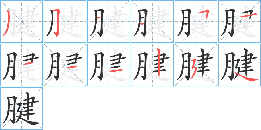 腱字筆畫寫法