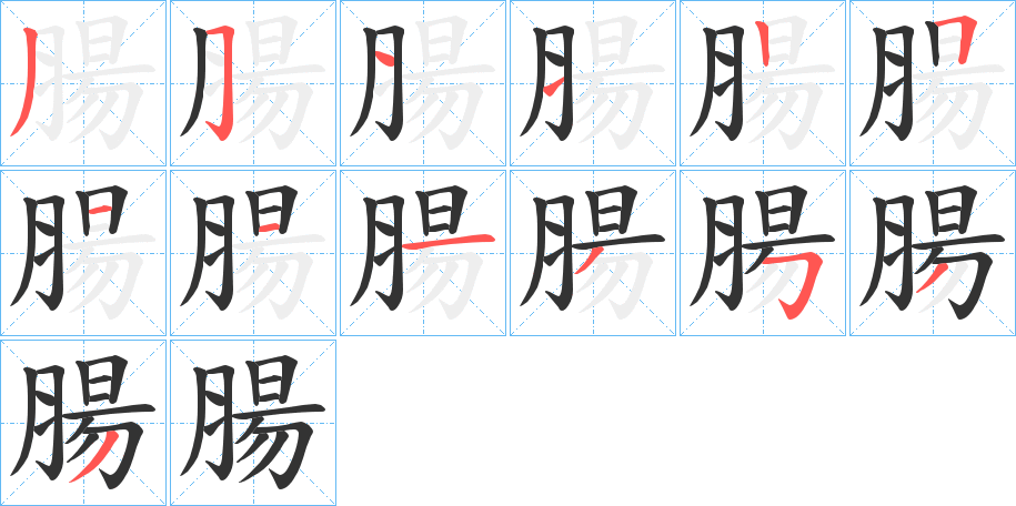 腸字筆畫(huà)寫(xiě)法