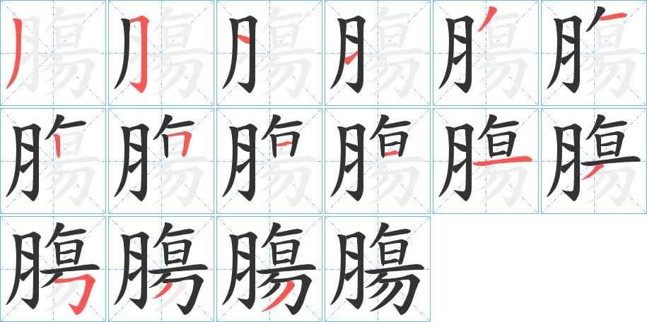 膓字筆畫寫法