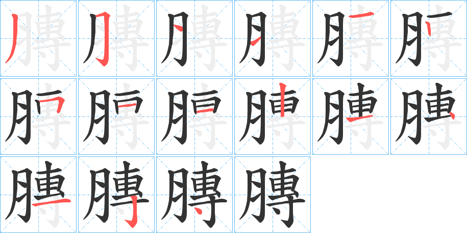 膞字筆畫寫法