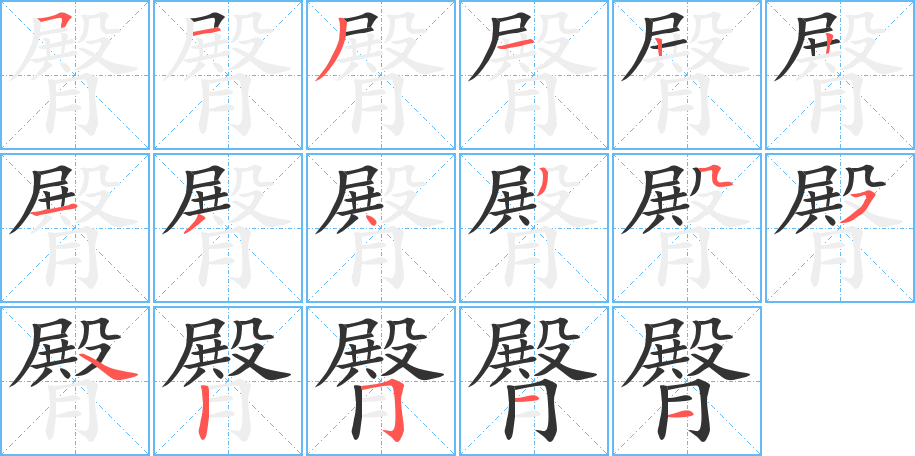 臀字筆畫寫法