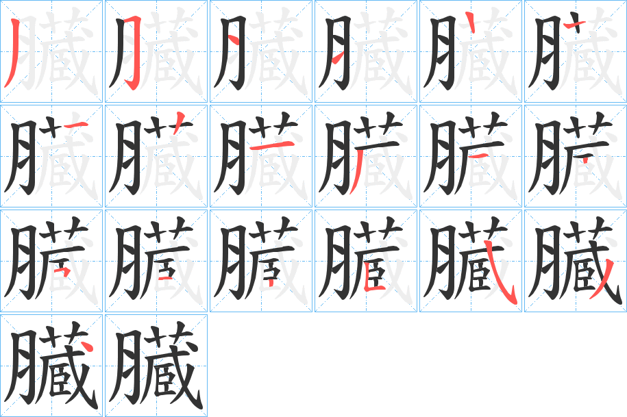 臓字筆畫寫法