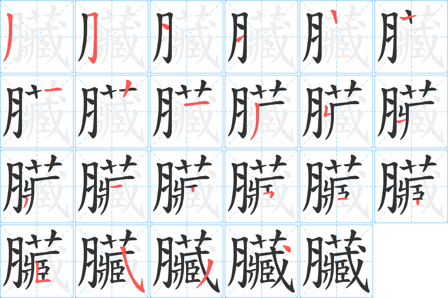 臟字筆畫(huà)寫(xiě)法