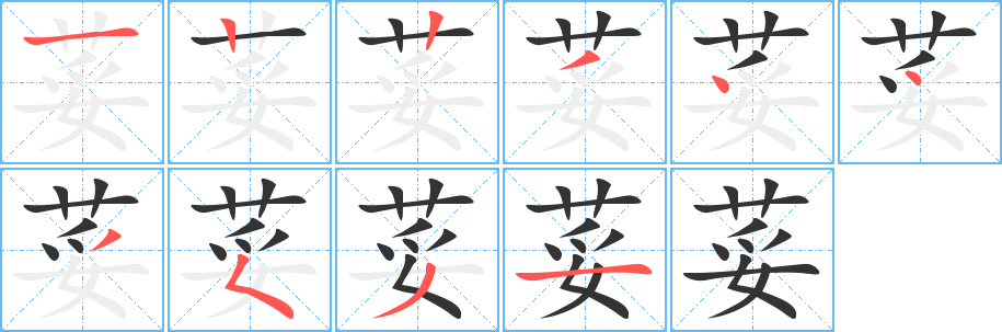 荽字筆畫寫法