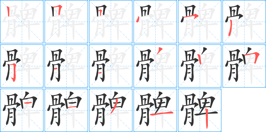 髀字筆畫(huà)寫(xiě)法