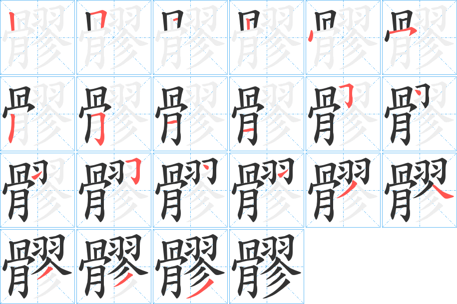 髎字筆畫(huà)寫(xiě)法