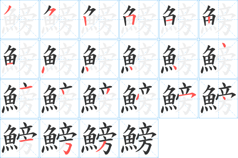 鰟字筆畫(huà)寫(xiě)法