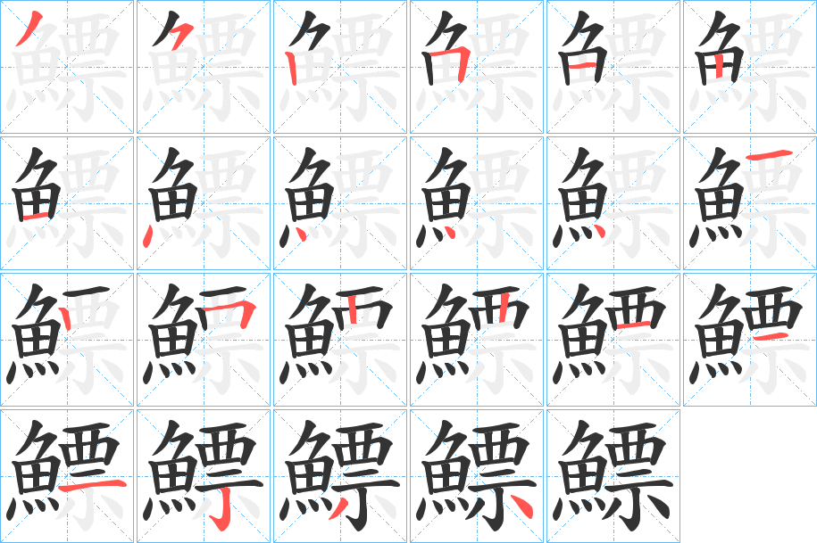 鰾字筆畫(huà)寫(xiě)法