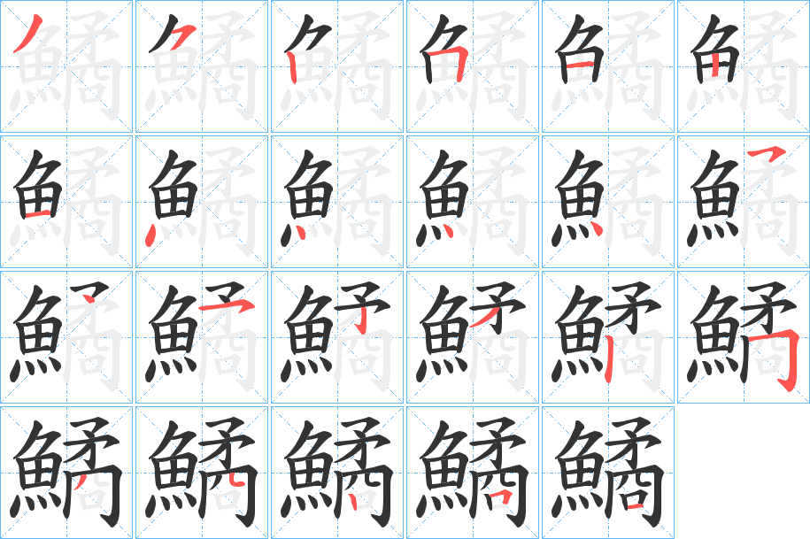 鱊字筆畫(huà)寫(xiě)法
