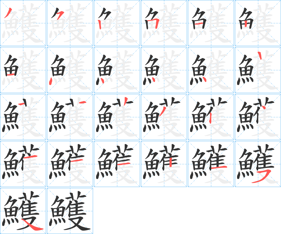 鱯字筆畫(huà)寫(xiě)法