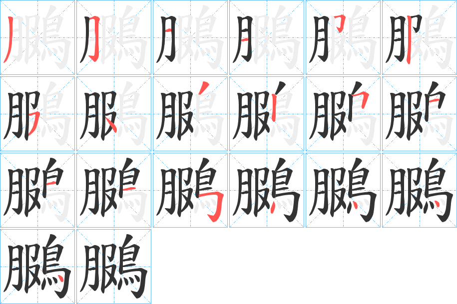 鵩字筆畫(huà)寫(xiě)法