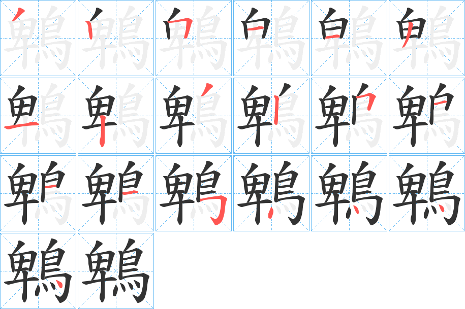 鵯字筆畫(huà)寫(xiě)法