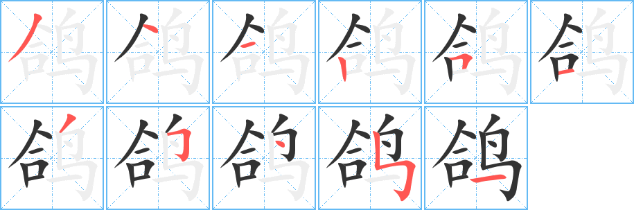 鴿字筆畫(huà)寫(xiě)法