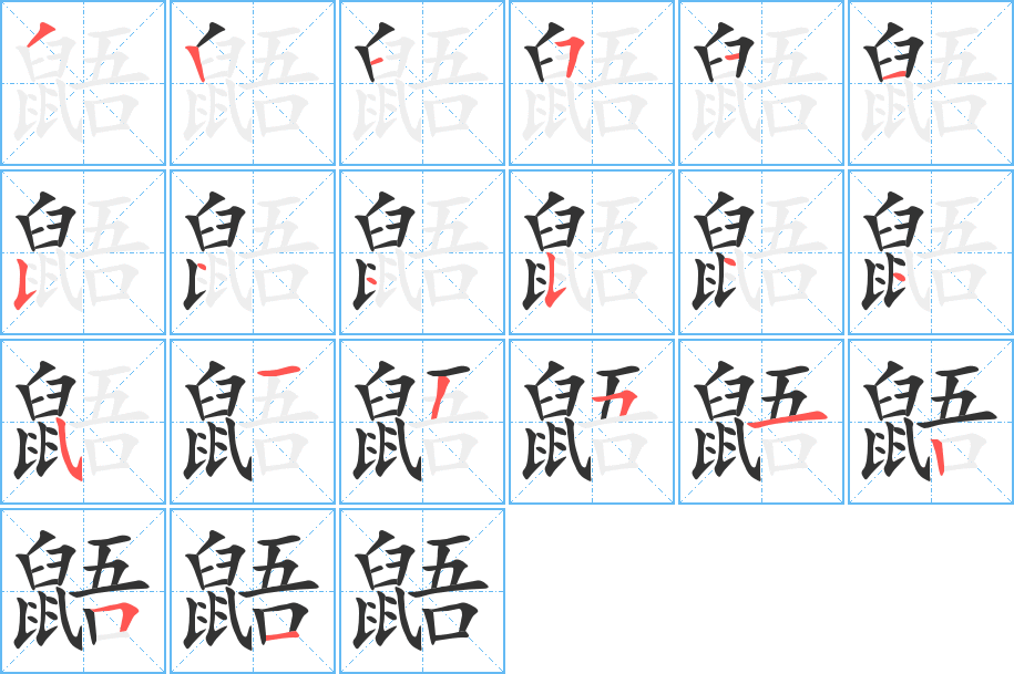 鼯字筆畫(huà)寫(xiě)法